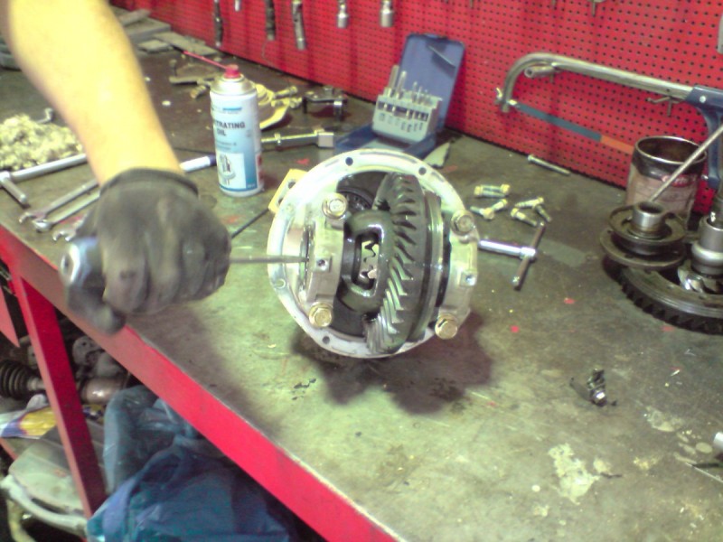 P300910_11.59[01].jpg