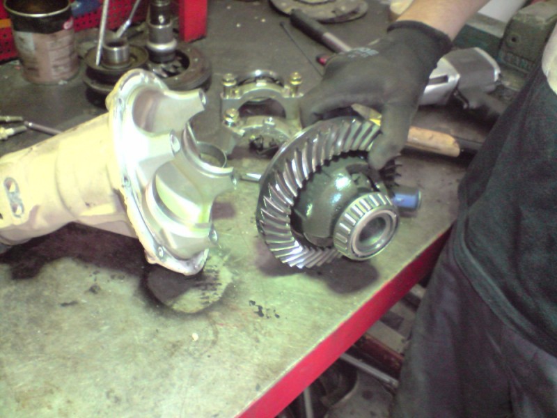 P300910_12.00.jpg