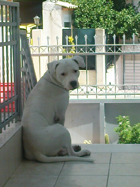 DSC01673.jpg