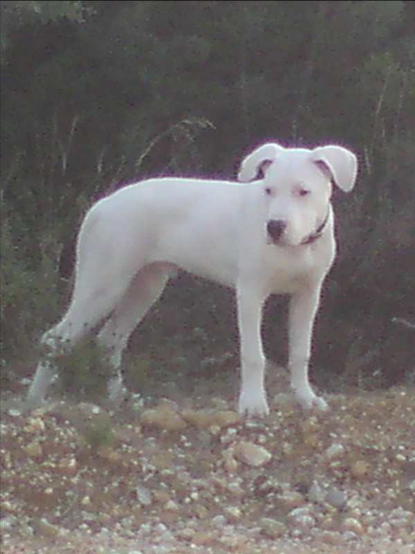 DSC01206.JPG