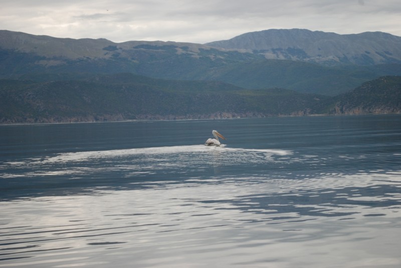 DSC_3257.JPG