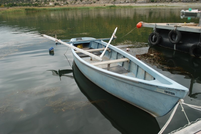 DSC_3306.JPG