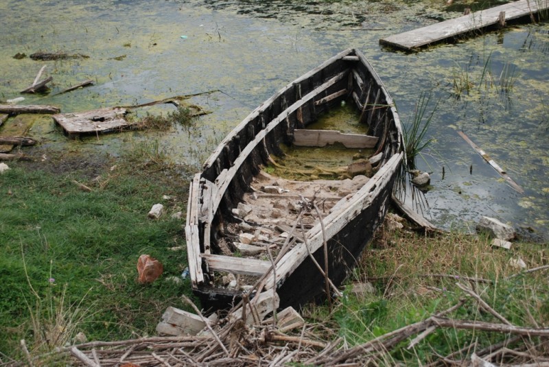 DSC_3308.JPG