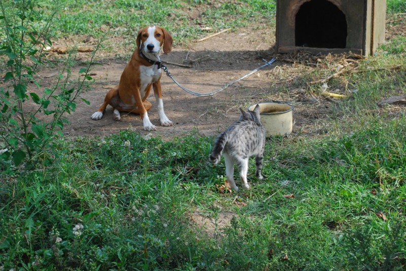 DSC_3378.JPG