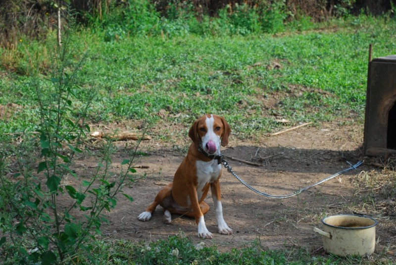 DSC_3379.JPG