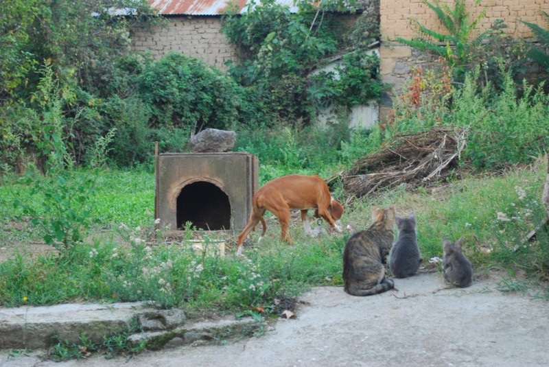 DSC_3390.JPG