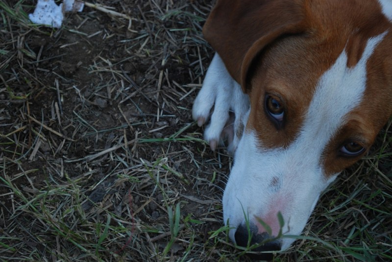 DSC_3396.JPG