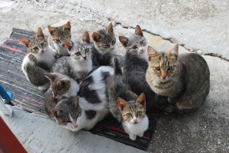 DSC_3312.JPG