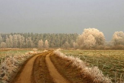 roads-902.jpg