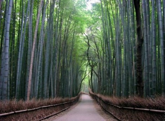 roads-1302.jpg