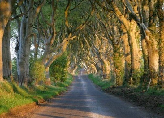 roads-1002.jpg