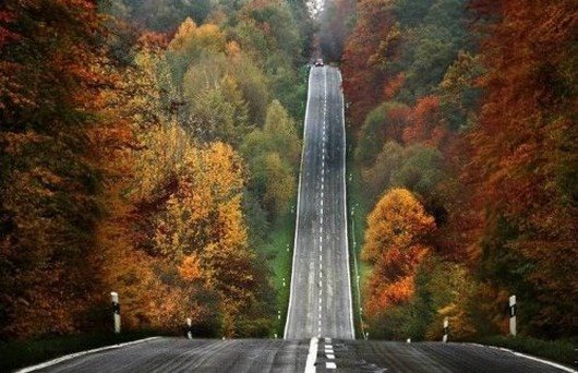 roads-202.jpg