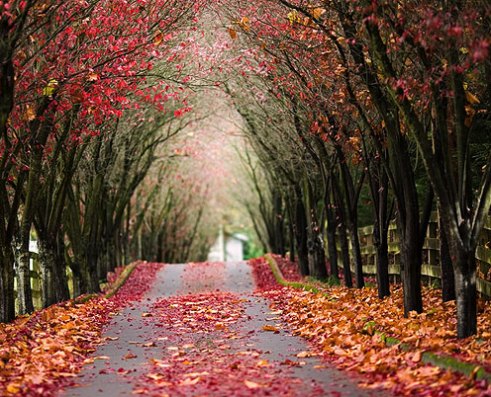 amazing-roads-5.jpg