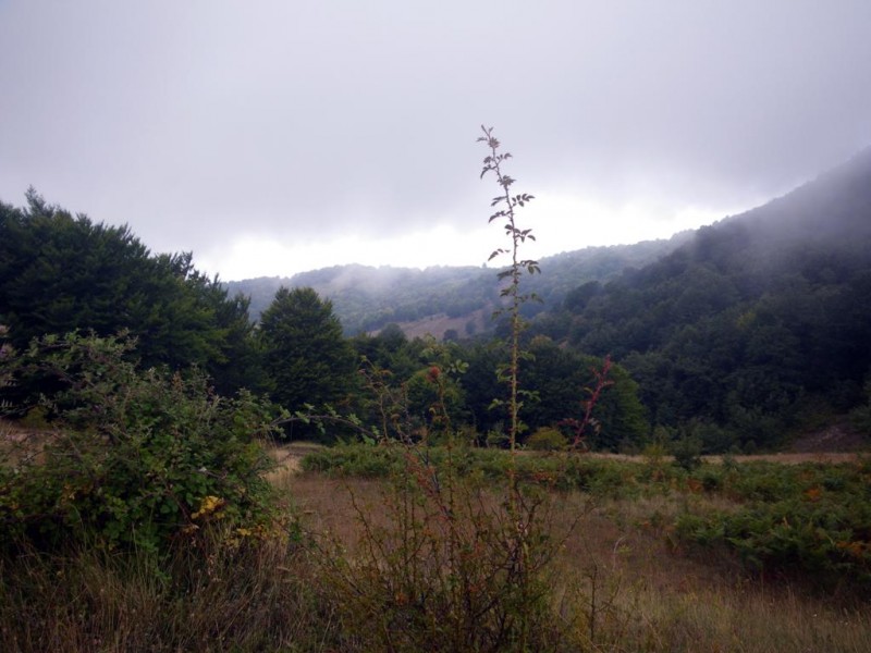 04_1024x768.jpg