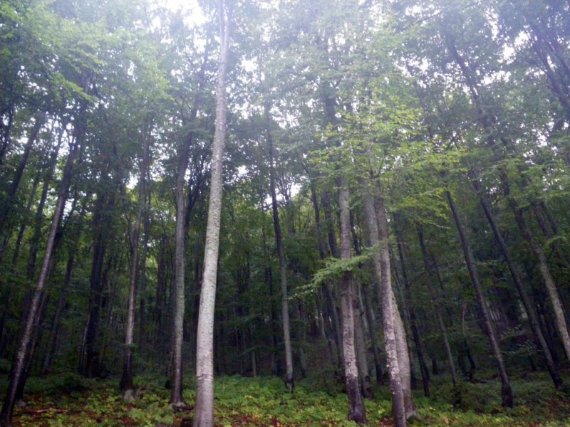 06_1024x768.jpg