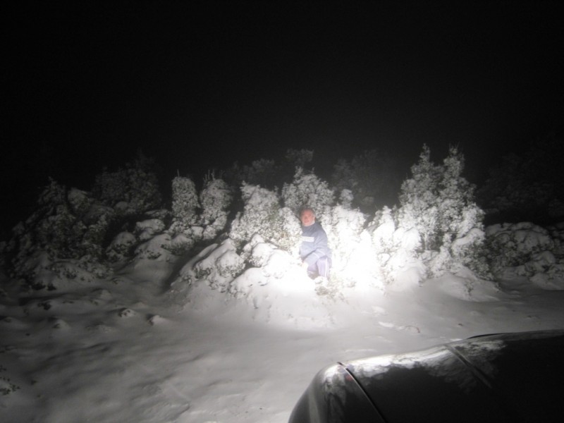 IMG_7969.jpg