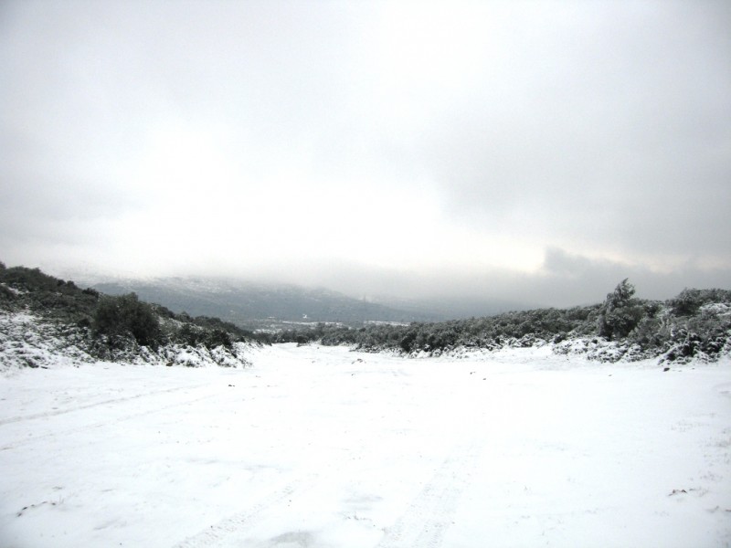IMG_7991.jpg