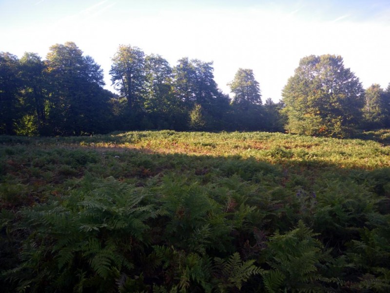 2-02_1024x768.jpg