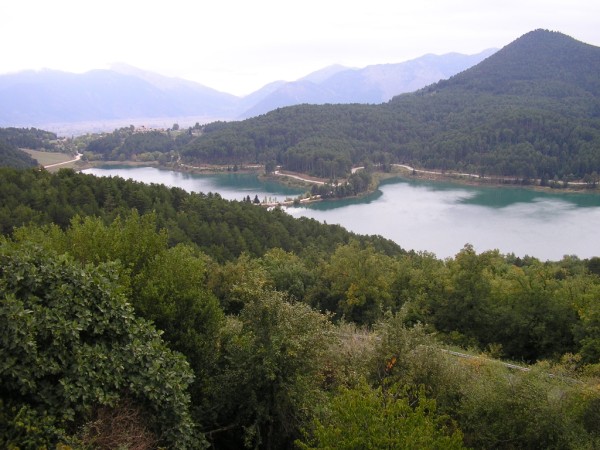 P1011264.jpg