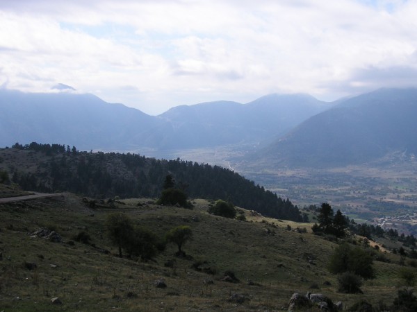 P1011248.jpg