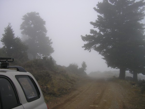 P1011227.jpg