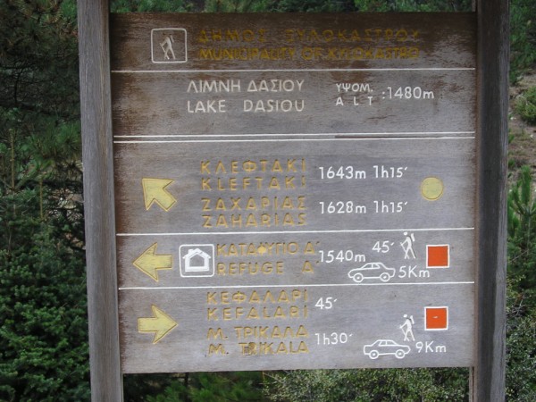 P1011216.jpg