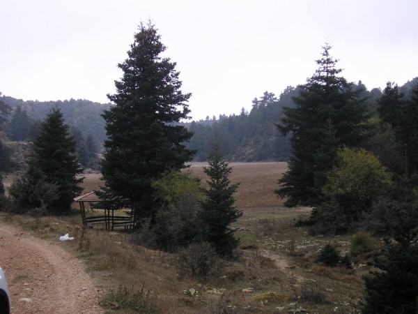 P1011215.jpg