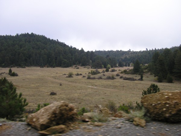 P1011213.jpg
