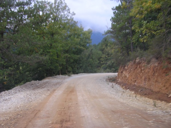 P1011254.jpg
