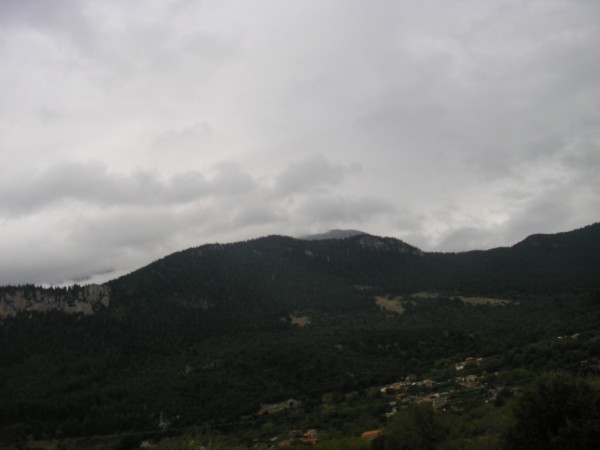 P1011252.jpg