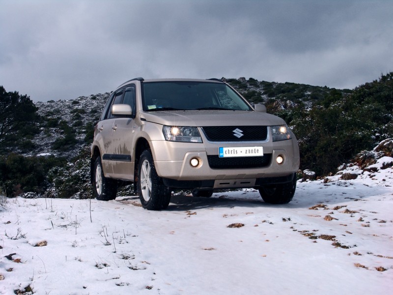 ngv-snow1.jpg