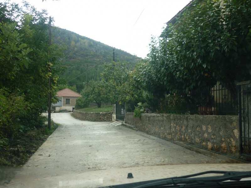 Λασπωμένη ΖΗΡΕΙΑ 059 (Large).jpg
