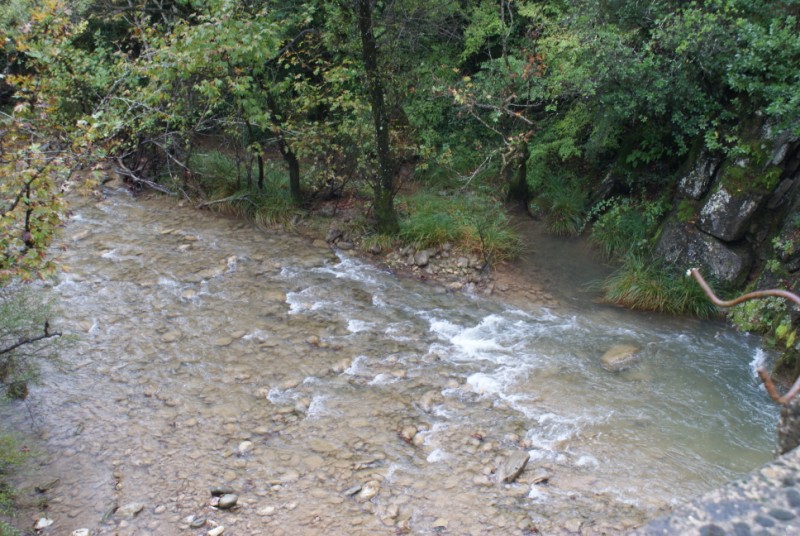 DSC08535.jpg