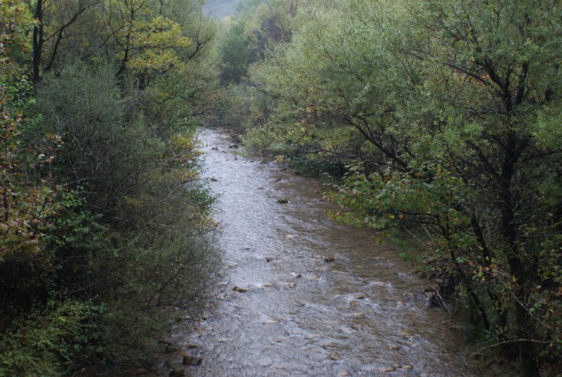 DSC08538.jpg