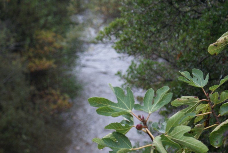 DSC08556.jpg