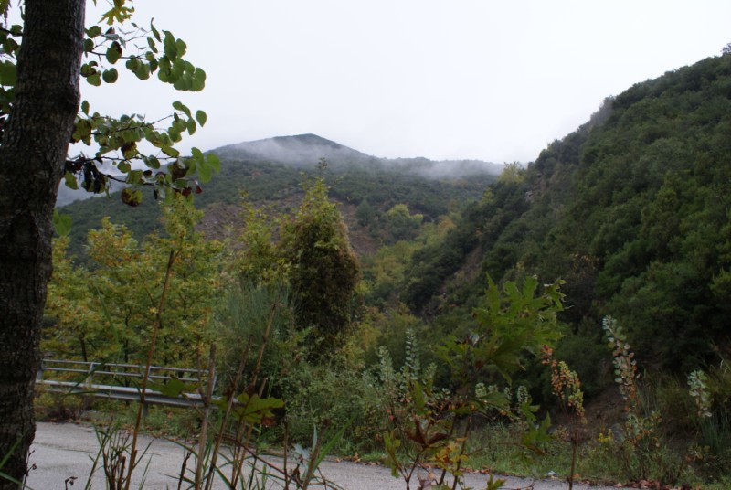 DSC08529.jpg
