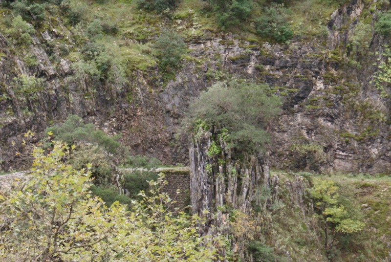 DSC08773.jpg