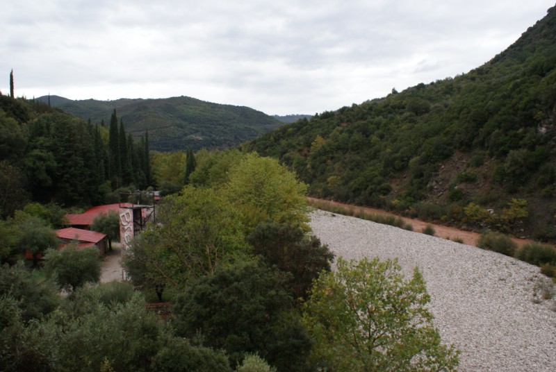 DSC08851.jpg