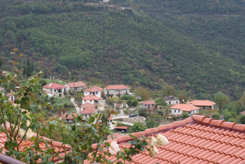 DSC08561.jpg