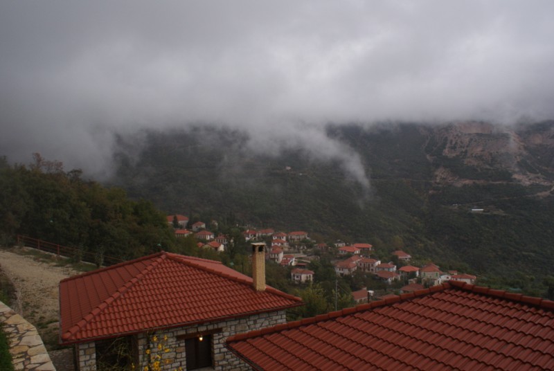DSC08603.jpg
