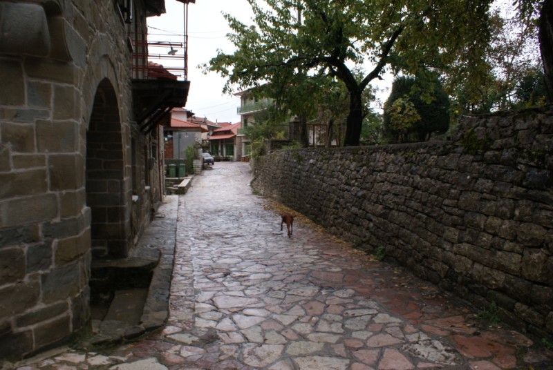 DSC08643.jpg