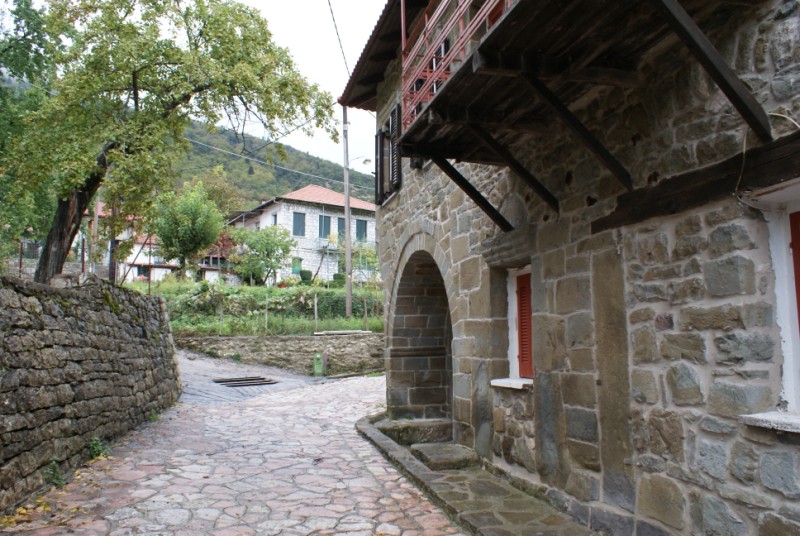 DSC08648.jpg
