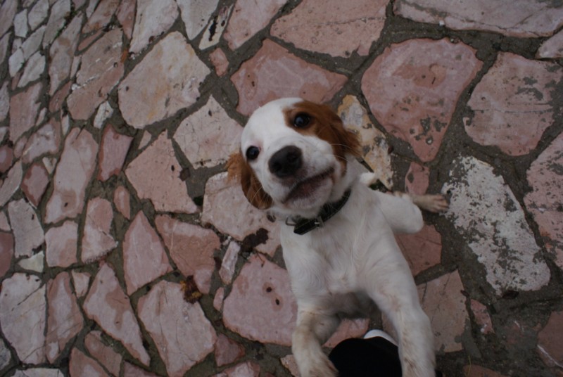 DSC08619.jpg