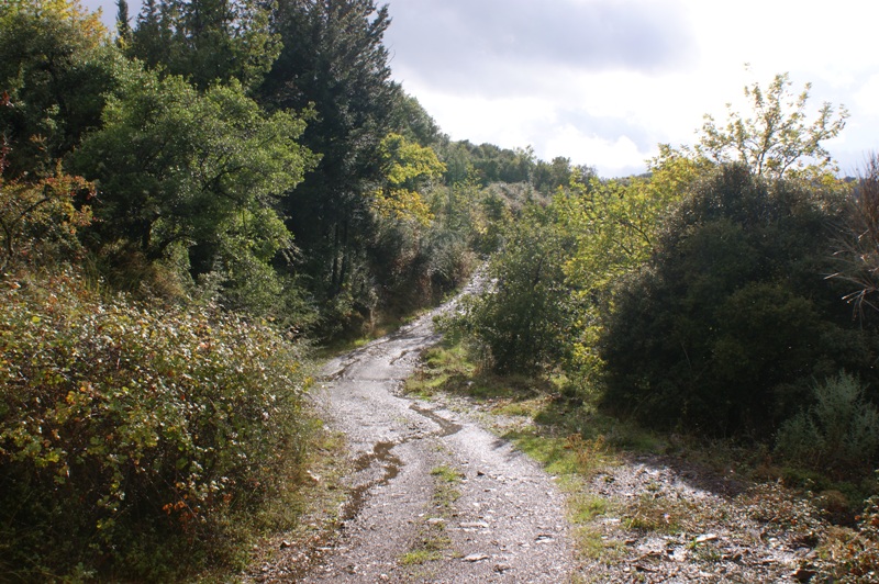 DSC01863.JPG