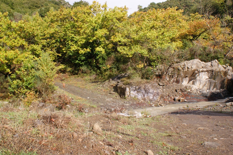 DSC01864.JPG