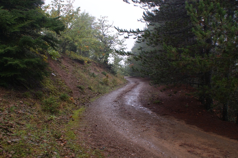 DSC01866.JPG