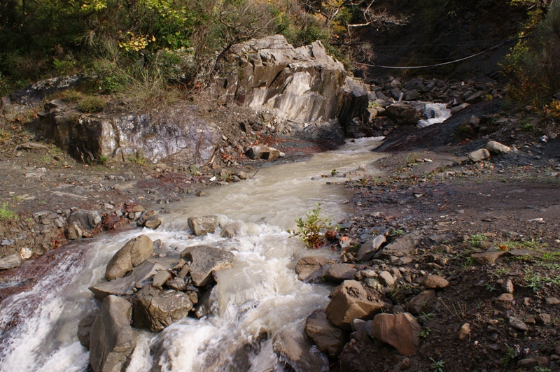 DSC01865.JPG