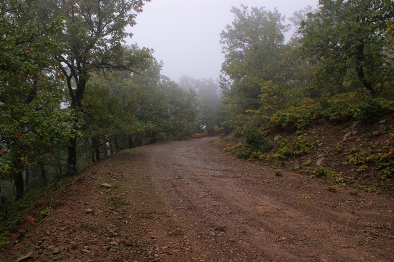 DSC01870.JPG