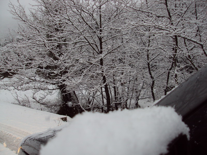 DSC013631.jpg
