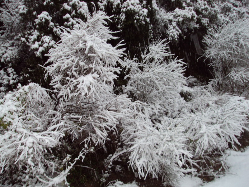 DSC013701.jpg